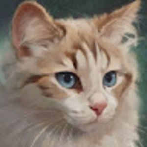 Meet your Posher, Pranjal